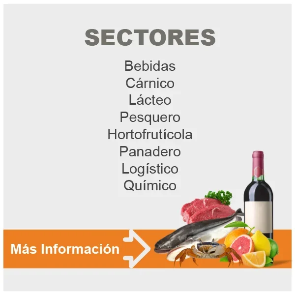sectores